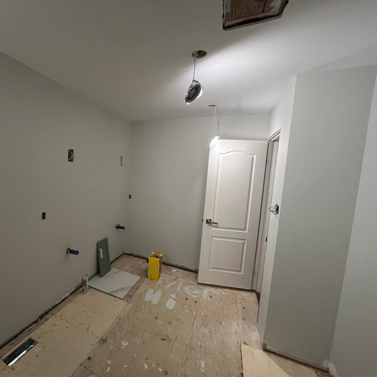 Grey Master Bathroom Renovation